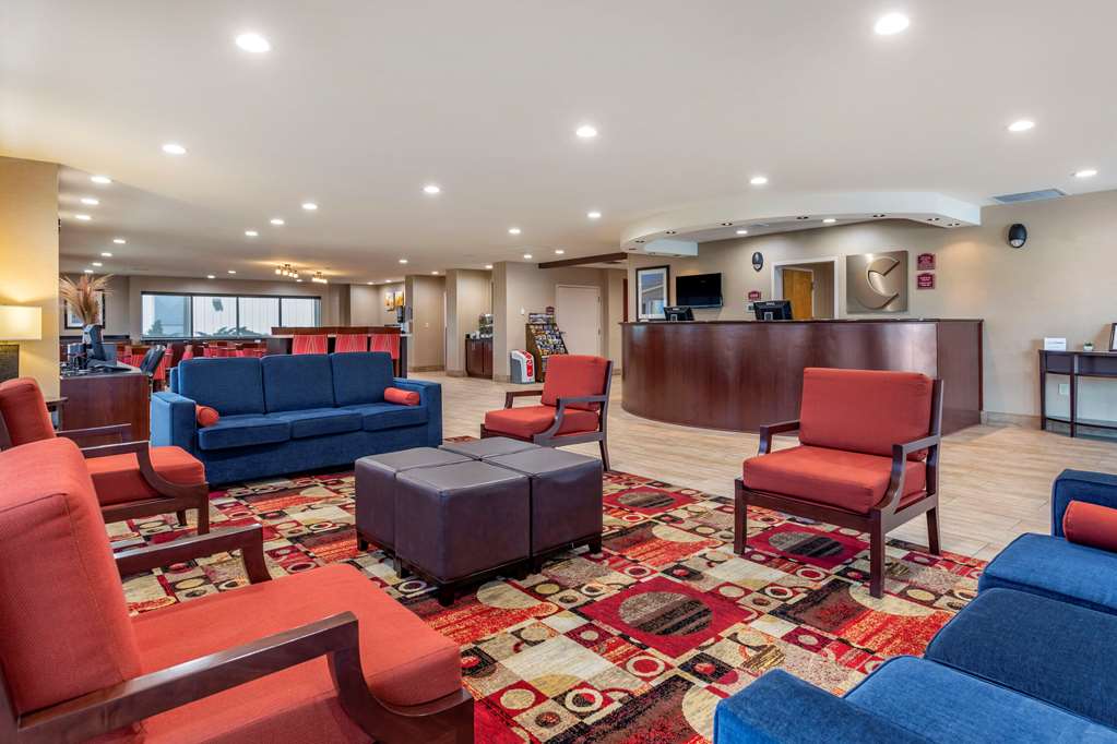 Comfort Suites Florence Shoals Area - photo 4