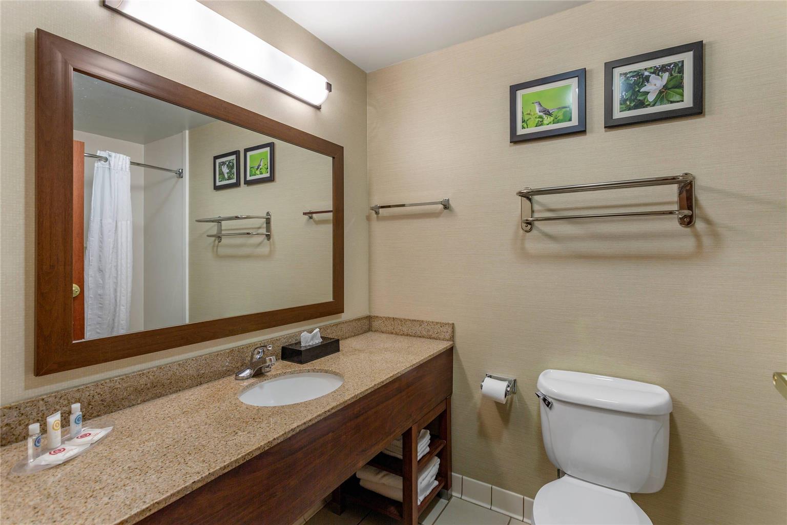 Comfort Suites Southaven Memphis South - photo 7