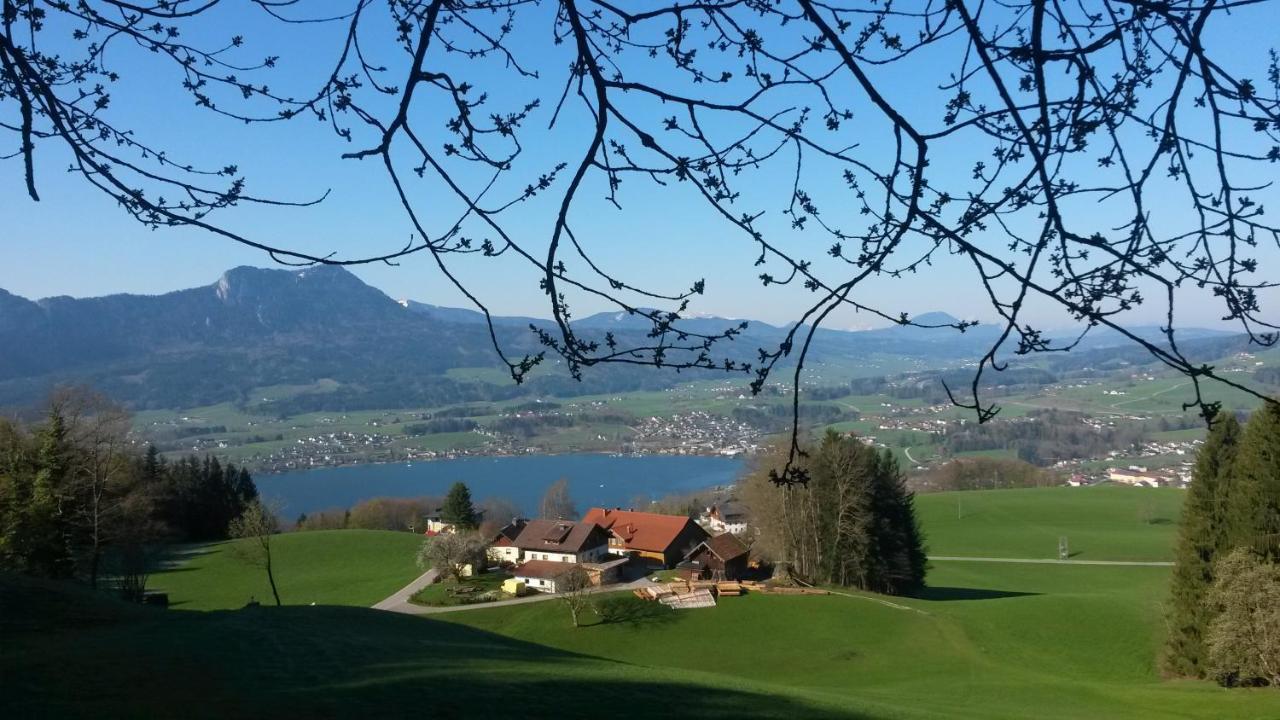 Gesundheitshof Daxinger Bio — Mondsee