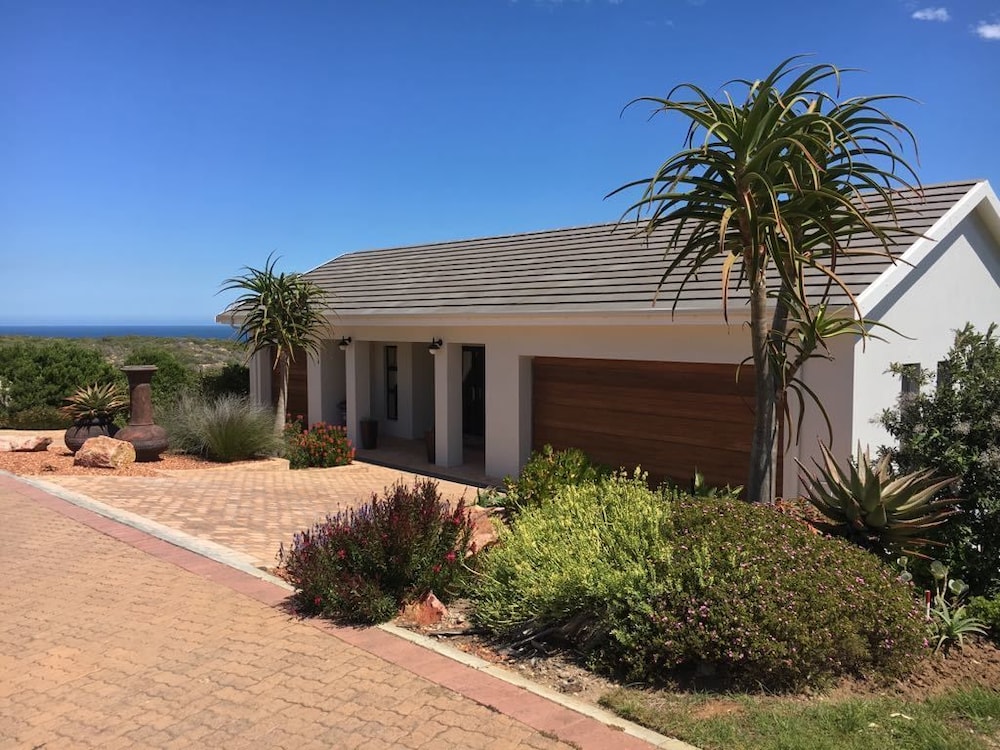 387 Bushbuck in Mossel Bay, South Africa