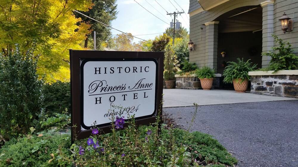 Princess Anne Boutique Hotel - photo 55