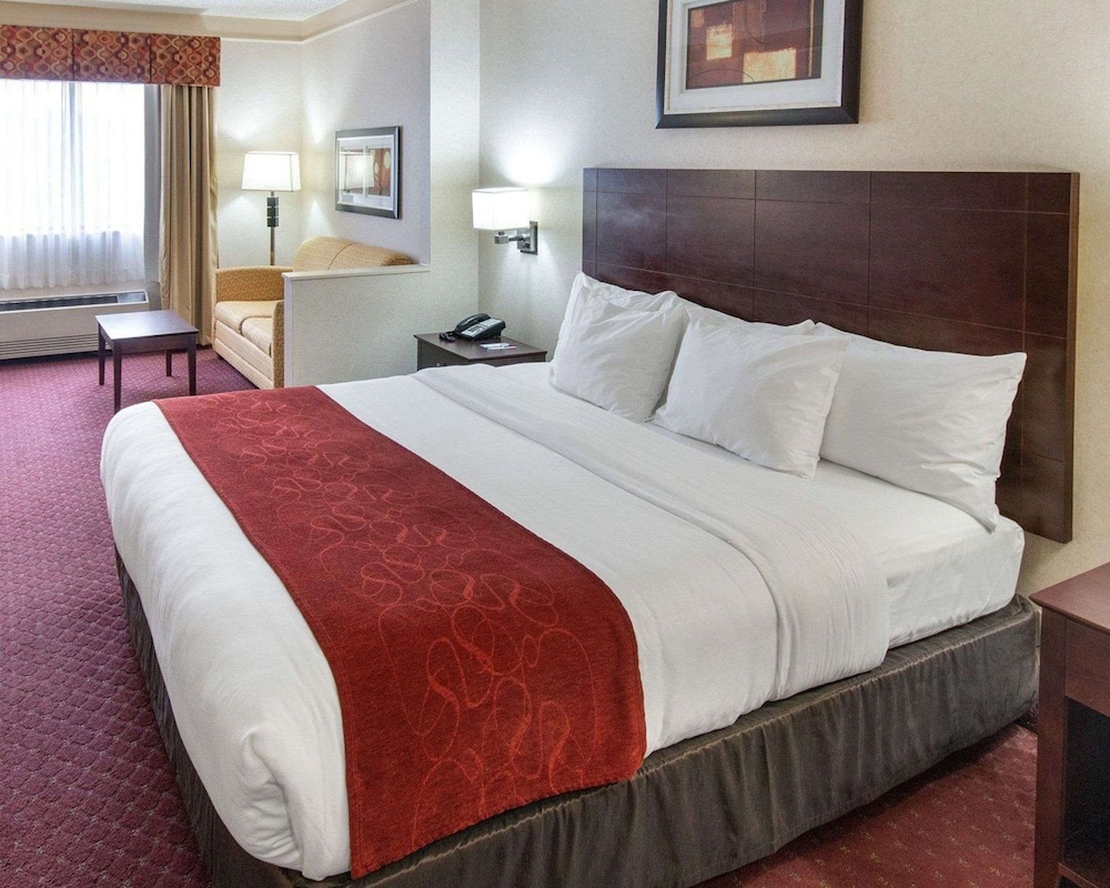 Comfort Suites Parkersburg South - photo 22