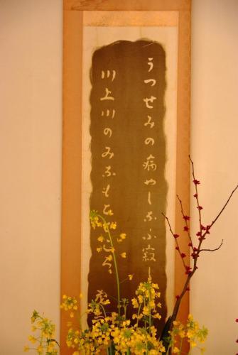 Chikumasou — Saga — photo 2