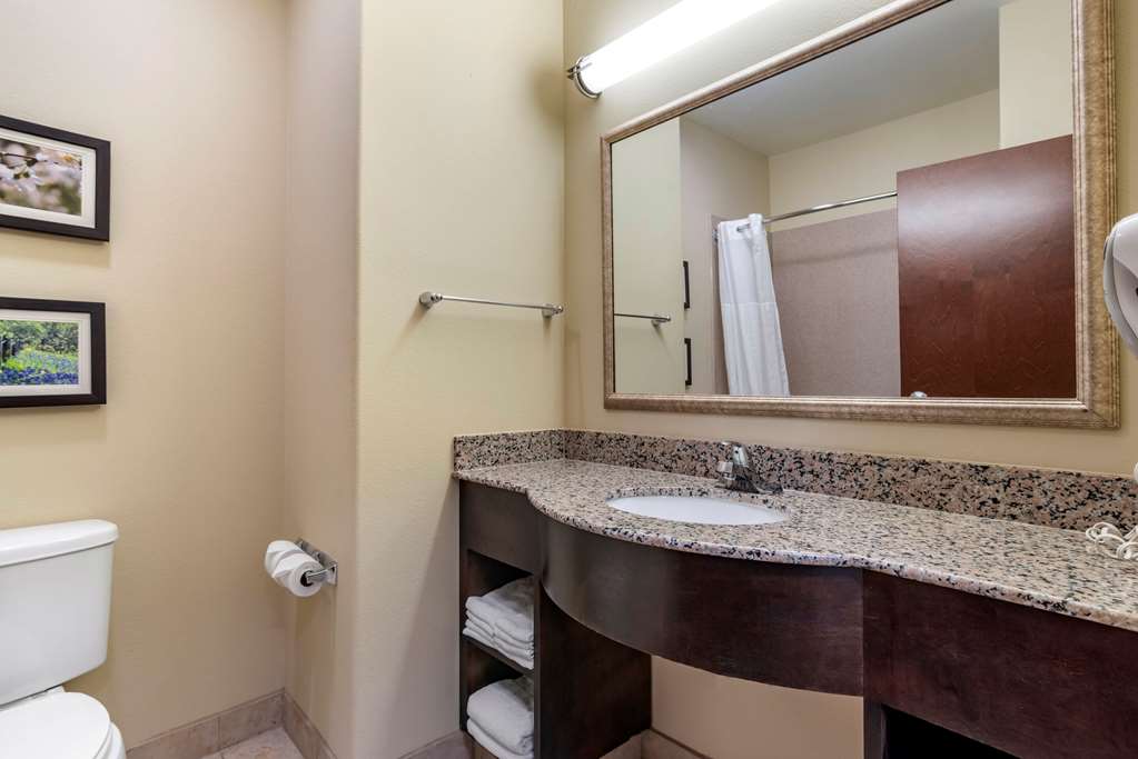 Comfort Inn & Suites Scott West Lafayette - photo 17
