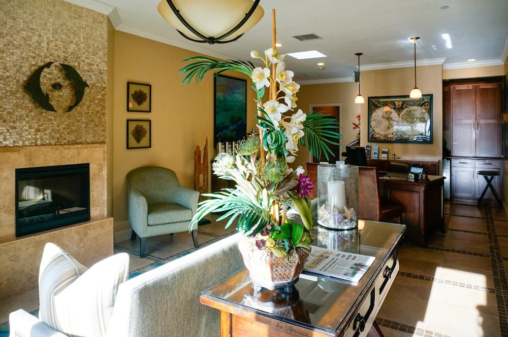 Blue Dolphin Inn - photo 4