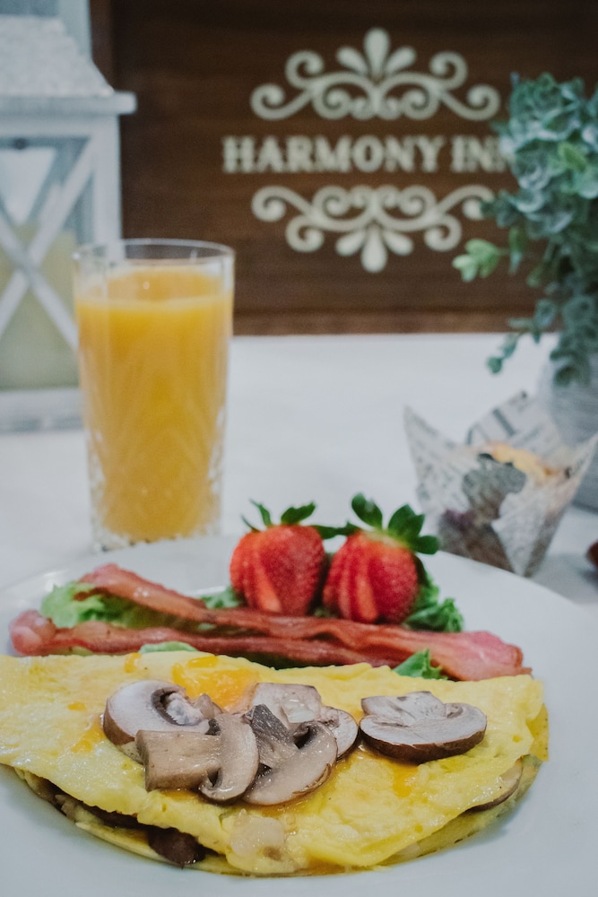 Harmony Inn - photo 35