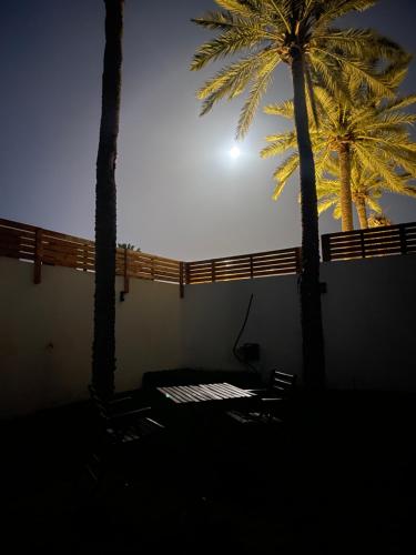 Palmora2 in Unknown City, Tunisia