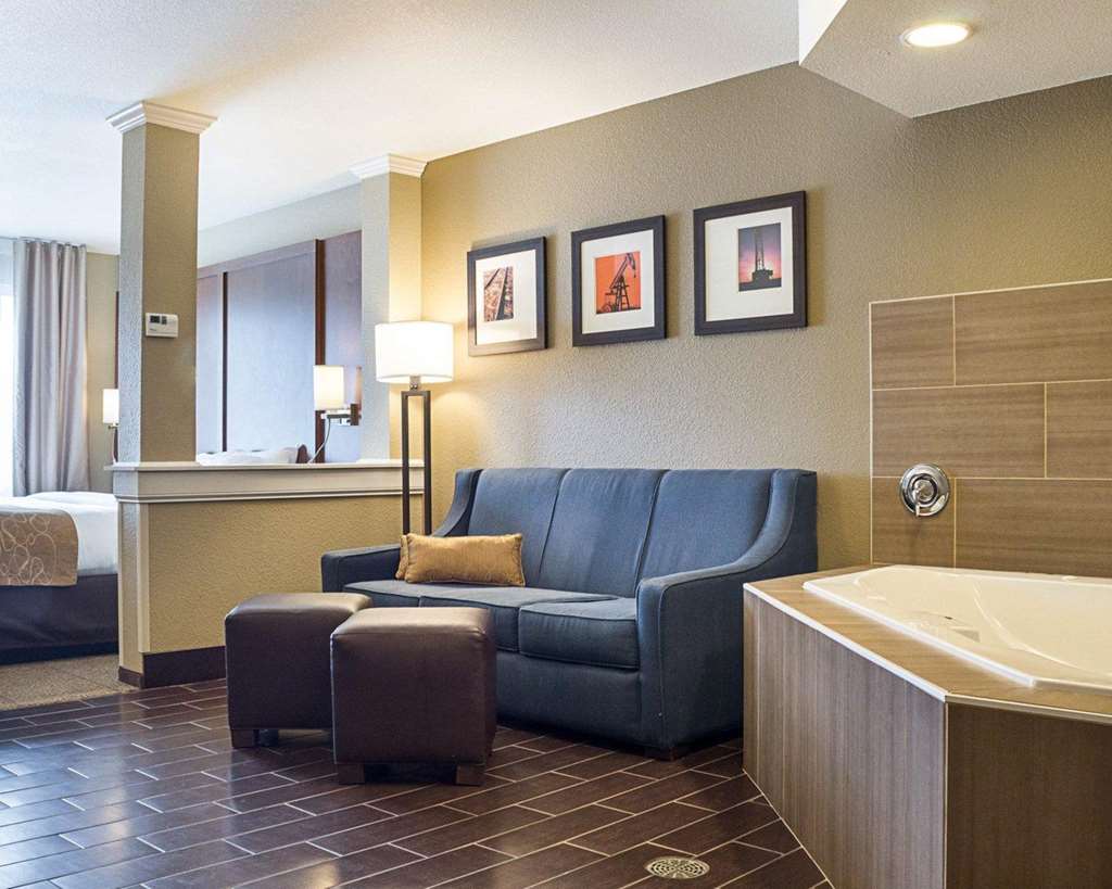 Comfort Suites Minot South - photo 12