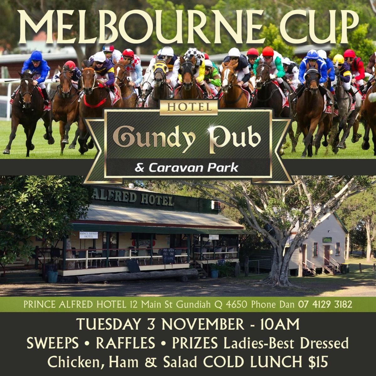 Gundy Pub & Caravan Park — hotel in Maryborough