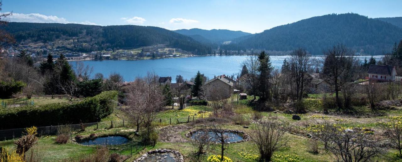 Moho Mountain Home — 4-Star Luxury Hotel in Gerardmer, France