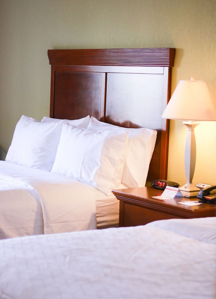 Holiday Inn Express & Suites Center an IHG Hotel - photo 5