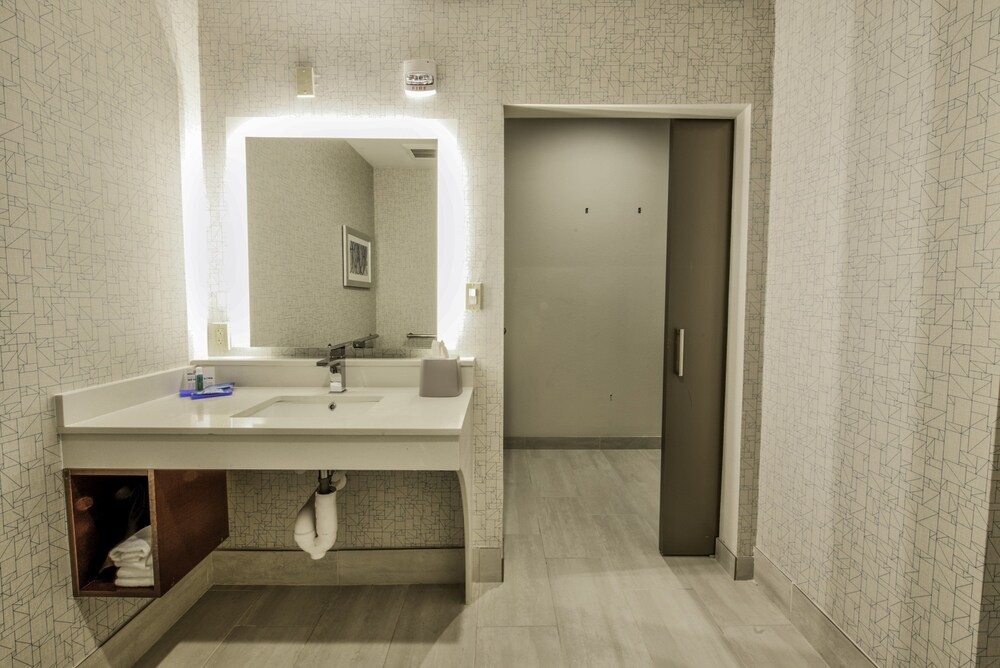 Holiday Inn Express & Suites Dallas NW Farmers Branch by IHG - photo 23