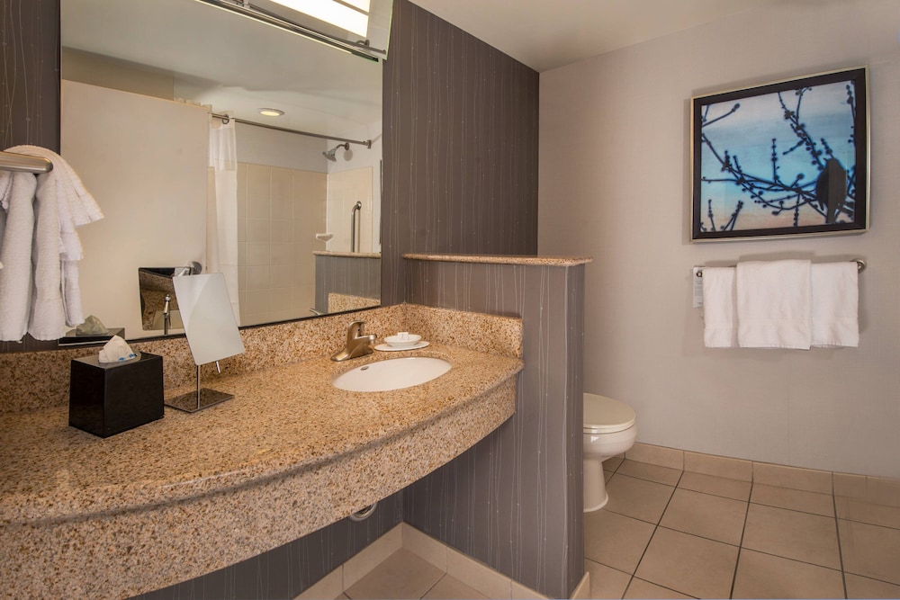 Courtyard by Marriott Gaithersburg Washingtonian Center - photo 24