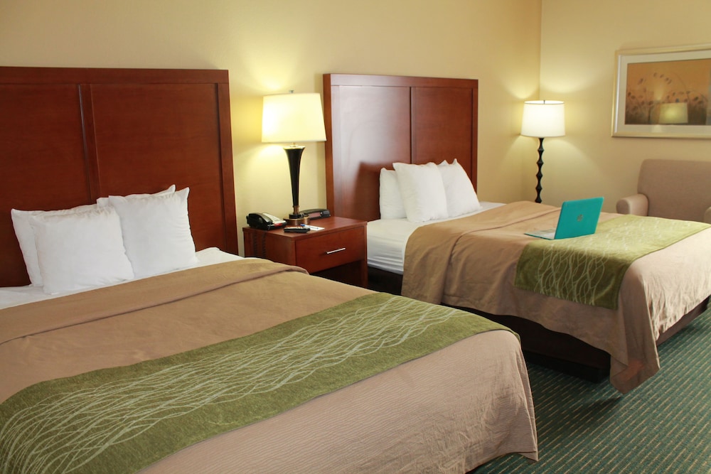 Comfort Inn Douglasville Atlanta West - photo 3