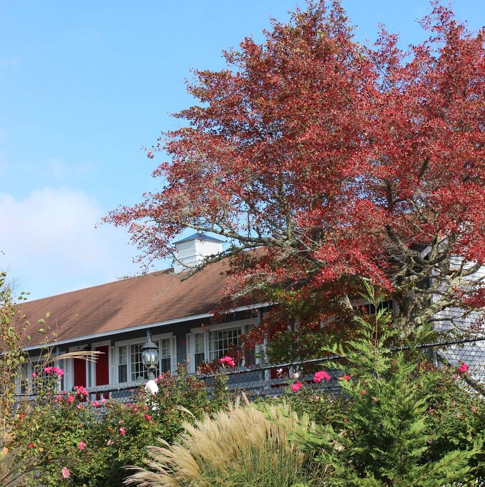 Red Horse Inn - photo 39