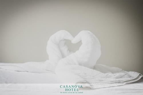 Hotel Casanova — San Jose — photo 2