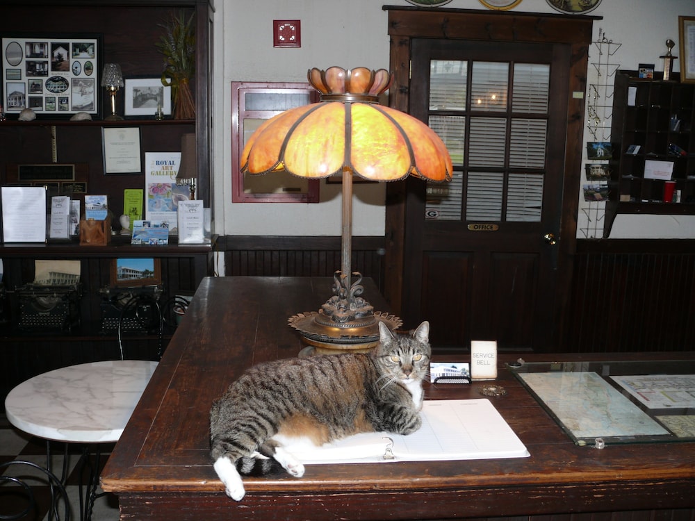 Riverview Hotel - photo 3