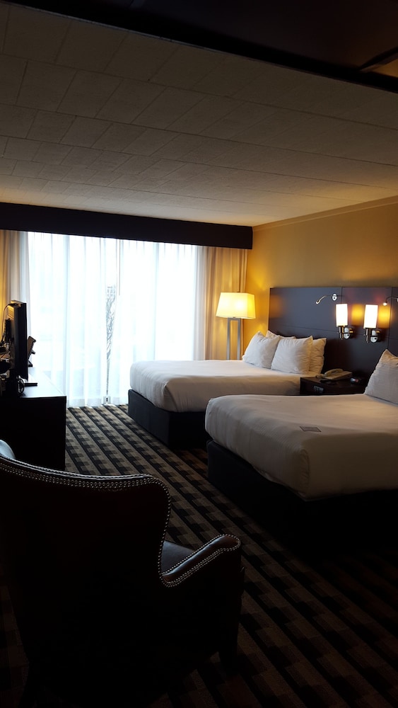 M Hotel Buffalo - photo 7