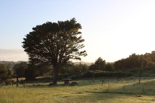 Down to earth NZ in Kerikeri, New Zealand