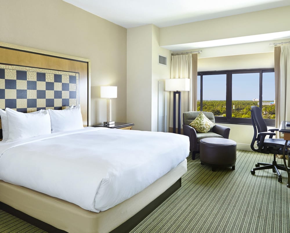 Hilton Orlando Lake Buena Vista Disney Springs Area - photo 27
