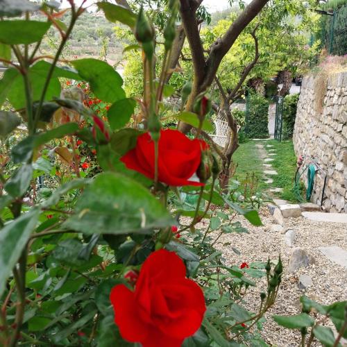 Il Giardino di Gio’ — Imperia — photo 5