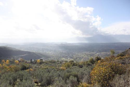 Il Pioppo — Veroli — photo 3