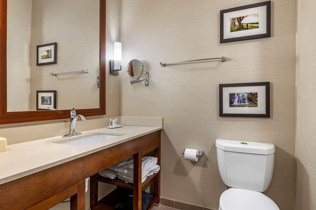Comfort Suites Columbus Airport - photo 19