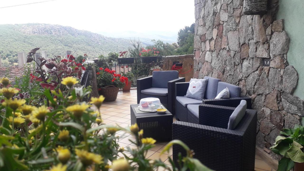 Casa Sa Hosta — Gavoi — photo 3