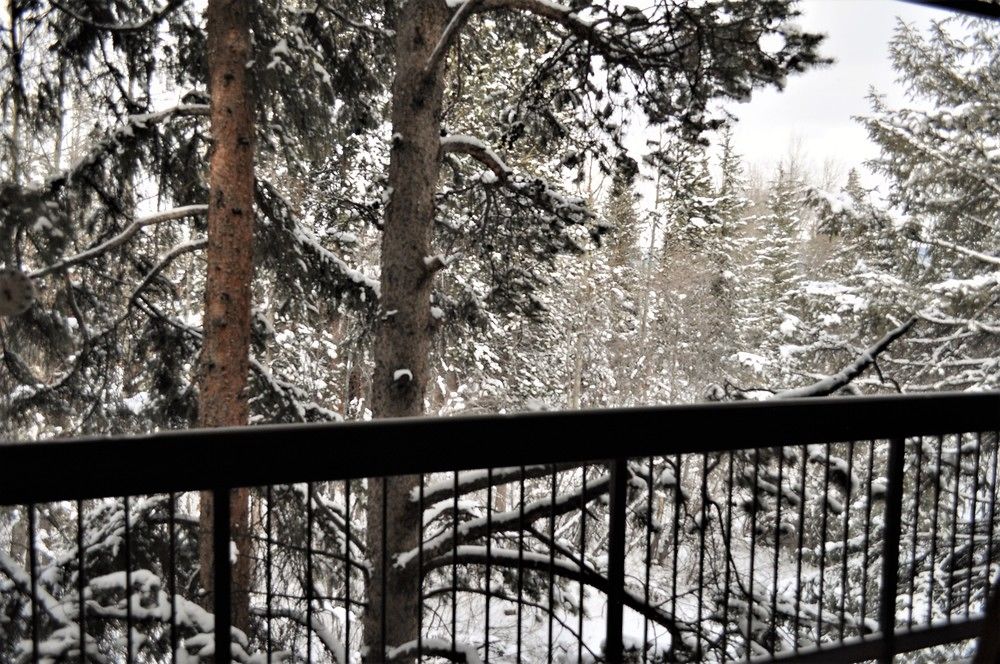 Frisco Resort By Rocky Mountain Resort Management - photo 4