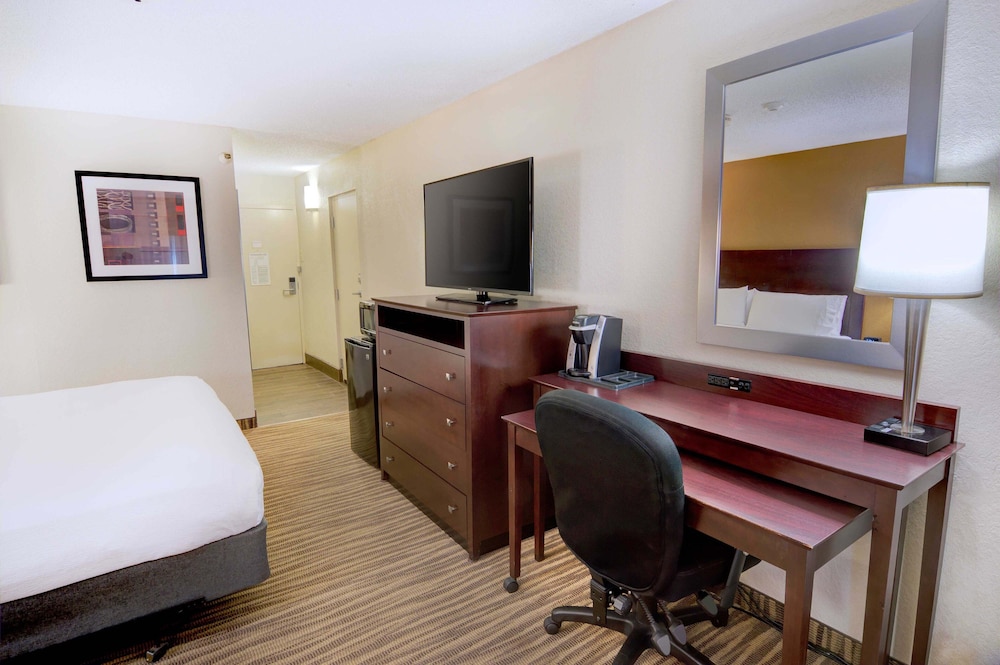 Holiday Inn St Petersburg N Clearwater by IHG - photo 15
