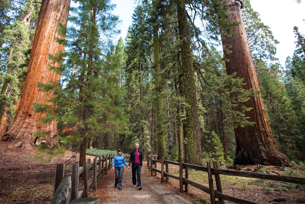 John Muir Lodge - photo 13