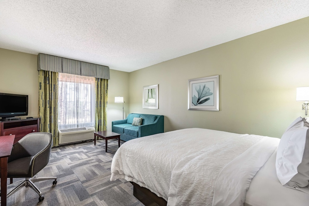 Hampton Inn & Suites Orlando South Lake Buena Vista - photo 24