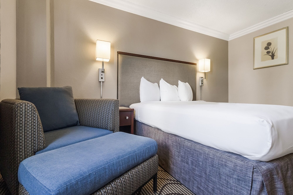 Jack London Inn - photo 17