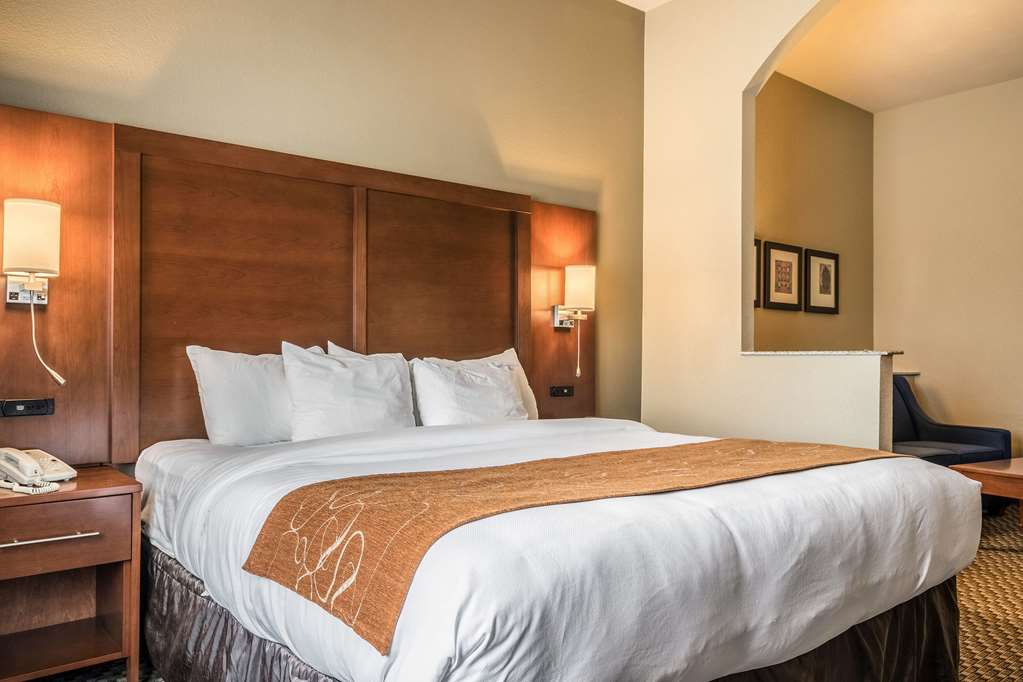 Comfort Suites Near Texas State University - photo 18