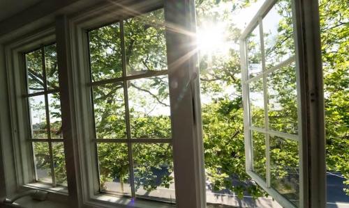 Buttonwood Boutique Hotel - photo 90