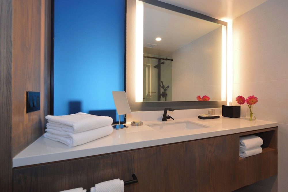 Renaissance Reno Downtown Hotel & Spa - photo 30