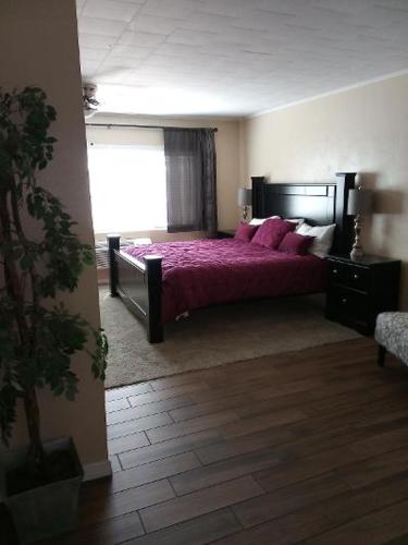 Butterfield Stage Motel - photo 15