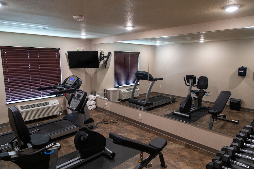 Cobblestone Inn & Suites of Springfield - photo 36