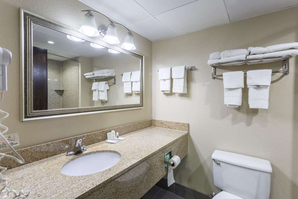 Comfort Inn Decatur Priceville - photo 22