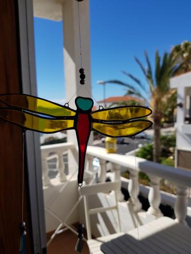 The Magic Dragonfly in Santa Cruz De Tenerife, Spain