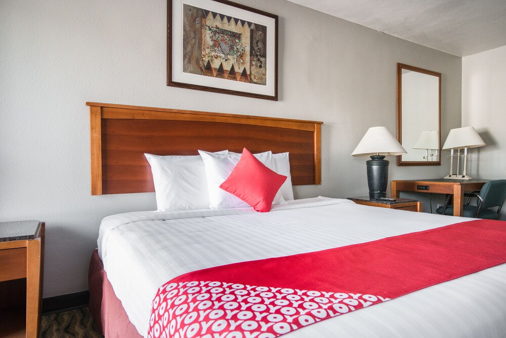 OYO Inn Dallas South - photo 13