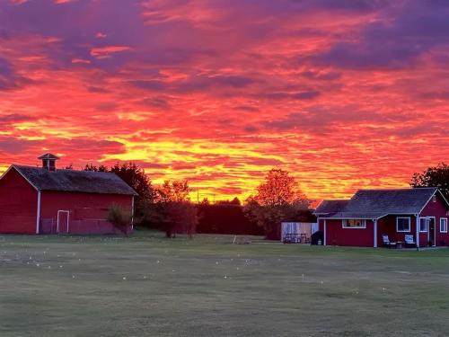 Sq The Crab Shack — Sequim