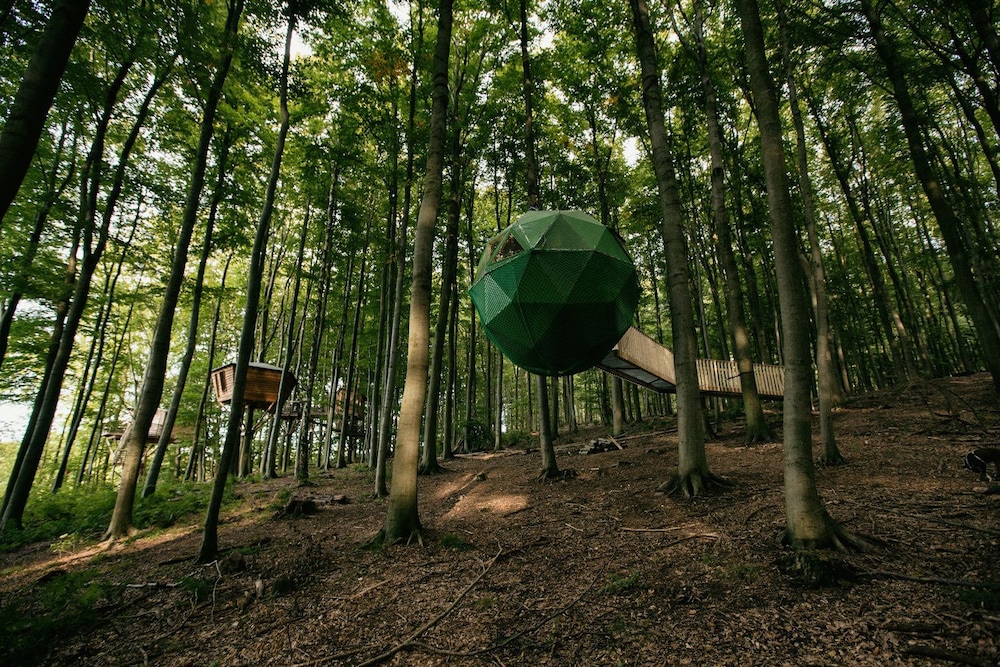 Baumhaushotel Robins Nest in Witzenhausen, Germany