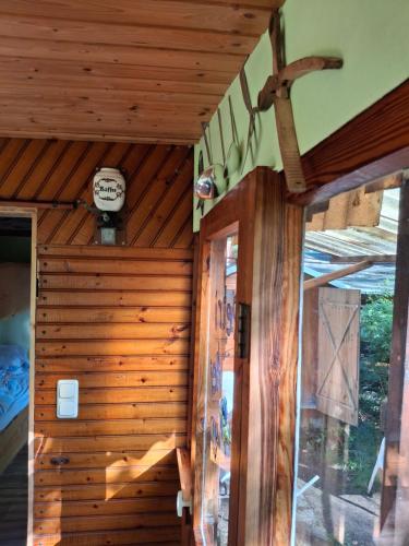 Waldidylle Bungalows an der Talsperre Kriebstein pet-friendly hotel Kriebstein