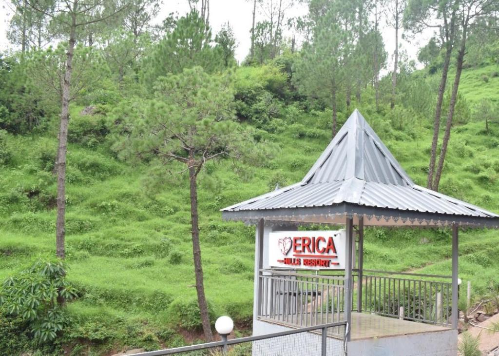 Erica Hills Resort Kasauli in Solan, India