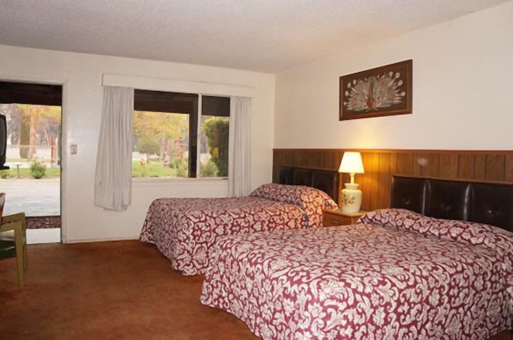 Blue Gum Motel - photo 21