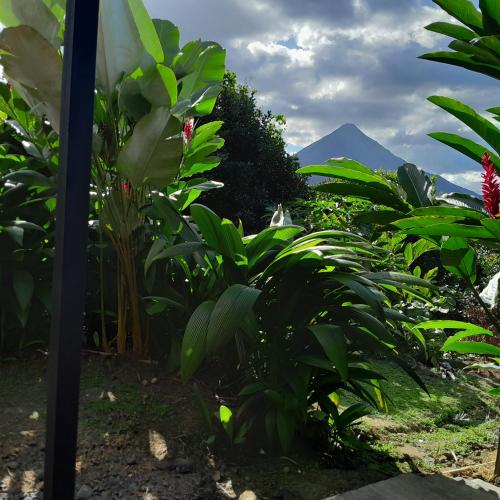 Cabaña Rural Pura Vida in Fortuna, Costa Rica