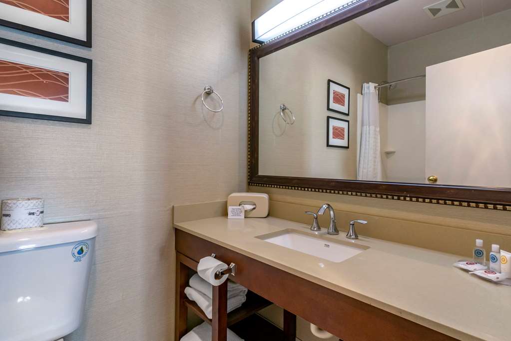 Comfort Inn & Suites Seattle North - photo 23
