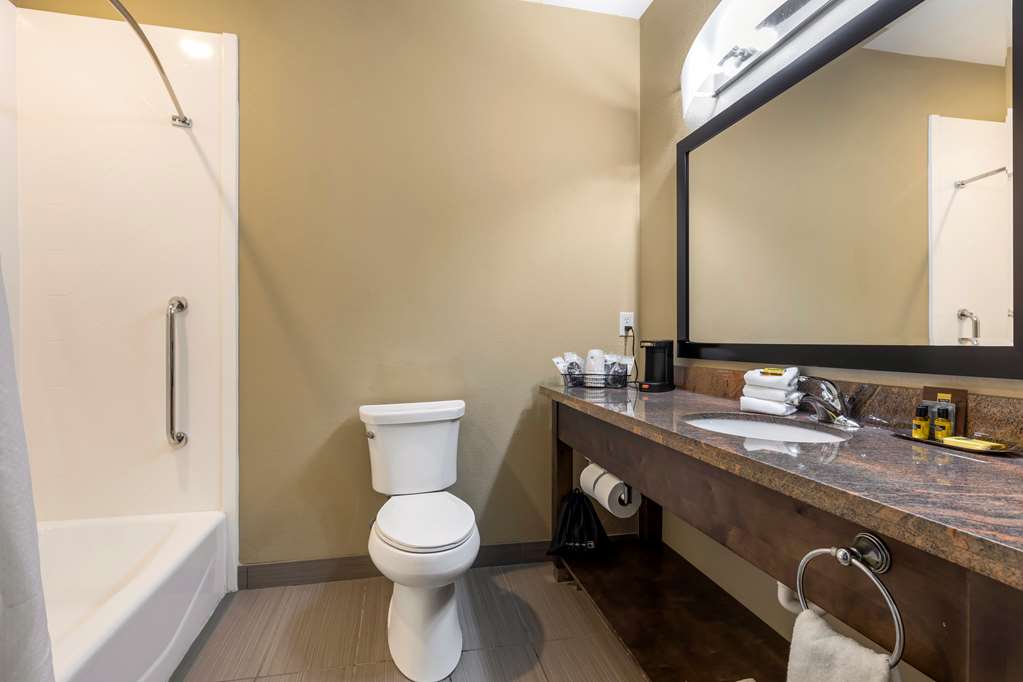 Best Western Plus Fort Stockton Hotel - photo 17