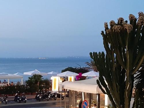 La Terrazza Dell Ippocampo #Seaview Apartment — 4-Star Luxury Hotel in Ischia, Italy